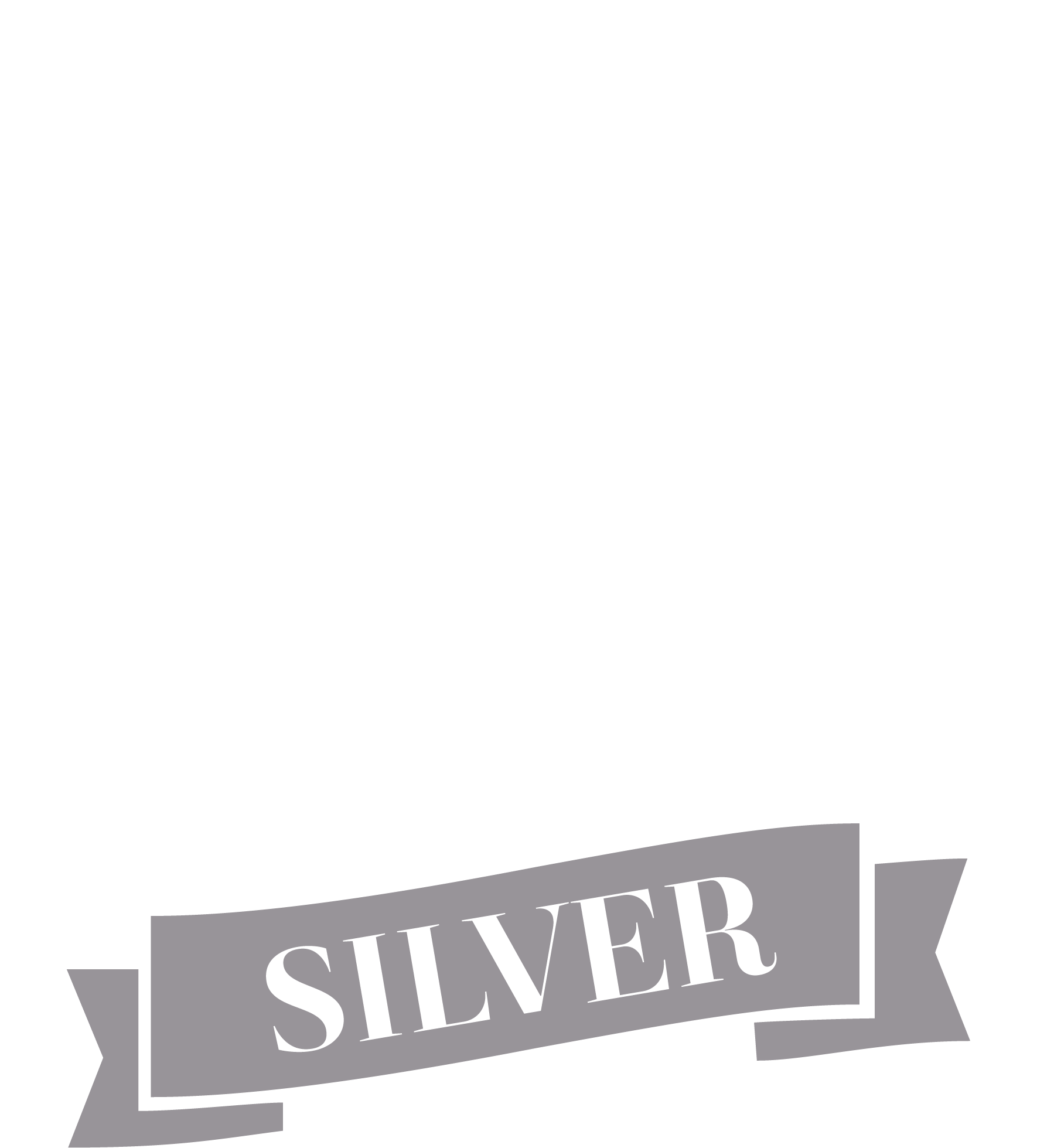 silber silver award preis wettbewerb
